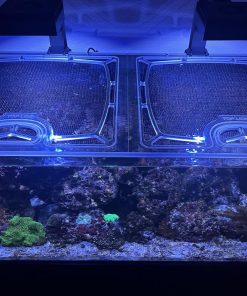 Alternative view of Red Sea Reefer 525 G2+ (Rimless Version) Custom Polycarbonate Aquarium Screen Top Lid
