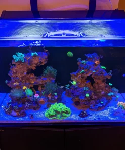 Alternative view of Red Sea Max-E 260 G1 and G2+ Custom Polycarbonate Aquarium Screen Top Lid