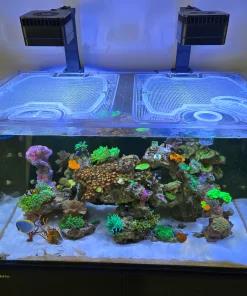 Red Sea Reefer 250 G1, G2+, and G3 Custom Polycarbonate Aquarium Screen Top Lid