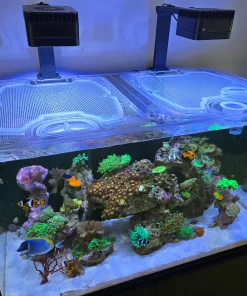 Red Sea Reefer 300 G1 and G2+ Custom Polycarbonate Aquarium Screen Top Lid