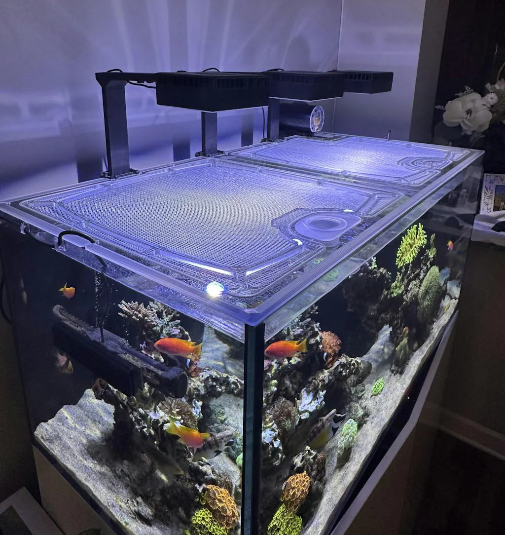 Red Sea Reefer 300 G3 Custom Polycarbonate Aquarium Screen Top Lid