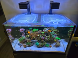 Red Sea Reefer 300 G3 Custom Polycarbonate Aquarium Screen Top Lid - Image 3