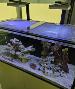 Red Sea Reefer 525 G3 (Black Eurobrace Version) Custom Polycarbonate Aquarium Screen Top Lid