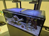 Alternative view of Red Sea Reefer 425 G3 (Black Eurobrace Version) Custom Polycarbonate Aquarium Screen Top Lid