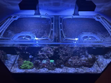 Alternative view of Red Sea Reefer 625 G2+ (Rimless Version) Custom Polycarbonate Aquarium Screen Top Lid