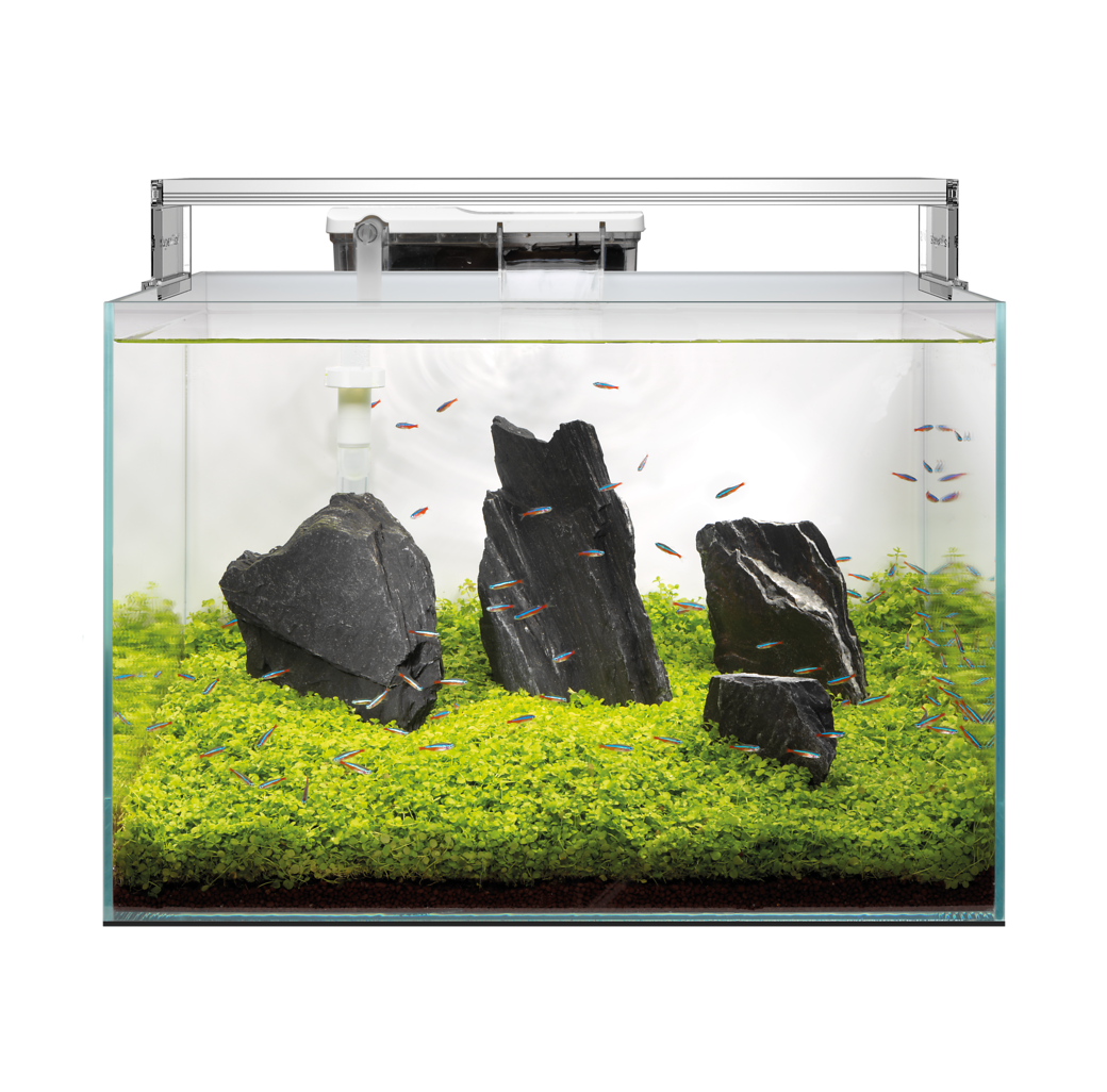 Buy Superfish Scaper 140 Litre Aquarium Set | Canada