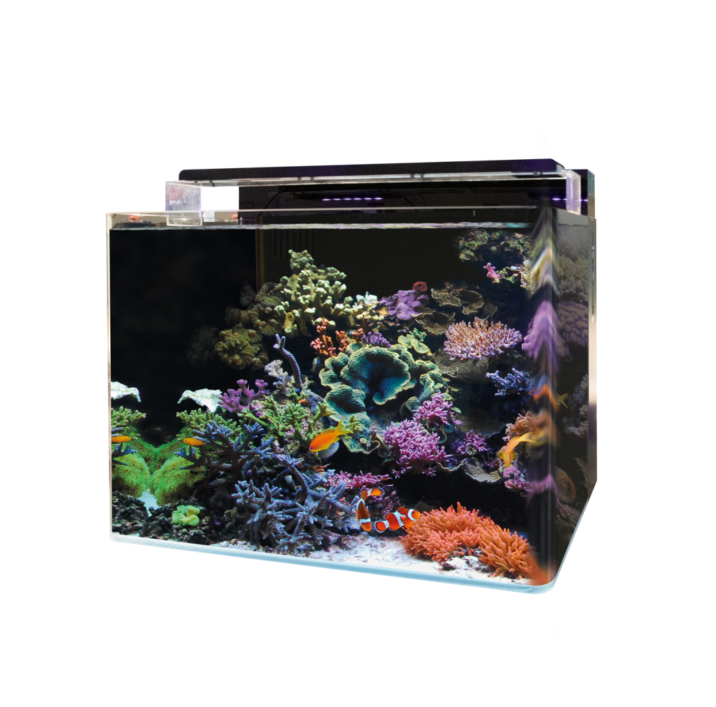 Blue Marine Reef 120 Aquarium - Image 2