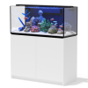 Buy Aqua Marin Pro 1200 Aquarium Sump & Cabinet White | Canada