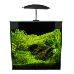 Buy AquaManta Nano 35 LED Aquarium | Canada