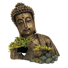 Aquarium Products Decors