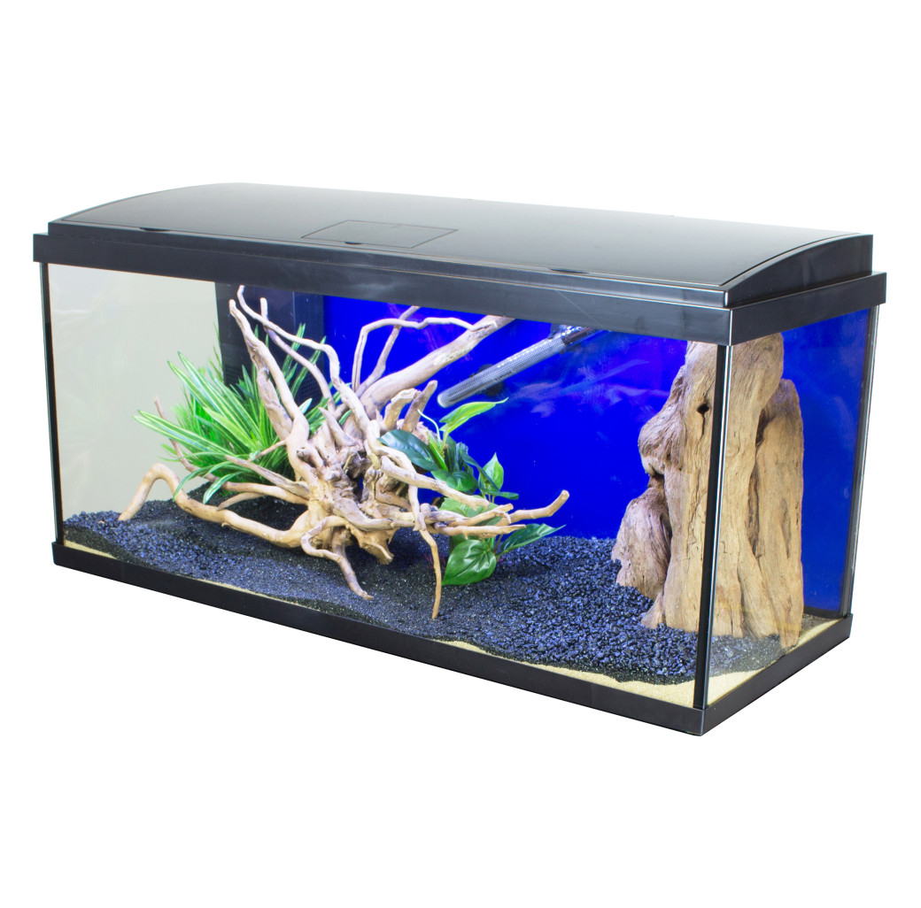 Buy AquaTropic LED 160 Aquarium | Canada