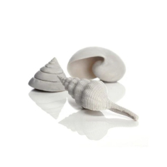 Buy BiOrb Sea Shells Set White | Aquarium Decoration Canada