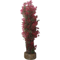 Fishkeeper Hedge Plant - Red, Green & Pink - 7cm x 7cm x 37cm