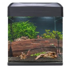 Buy Fishkeeper MyQuarium 16L Black Aquarium | Canada
