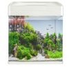 Buy Fishkeeper MyQuarium White 30L Aquarium | Canada