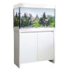 Buy Fluval Roma 125 Bluetooth LED Aquarium & Cabinet Set White | Canada