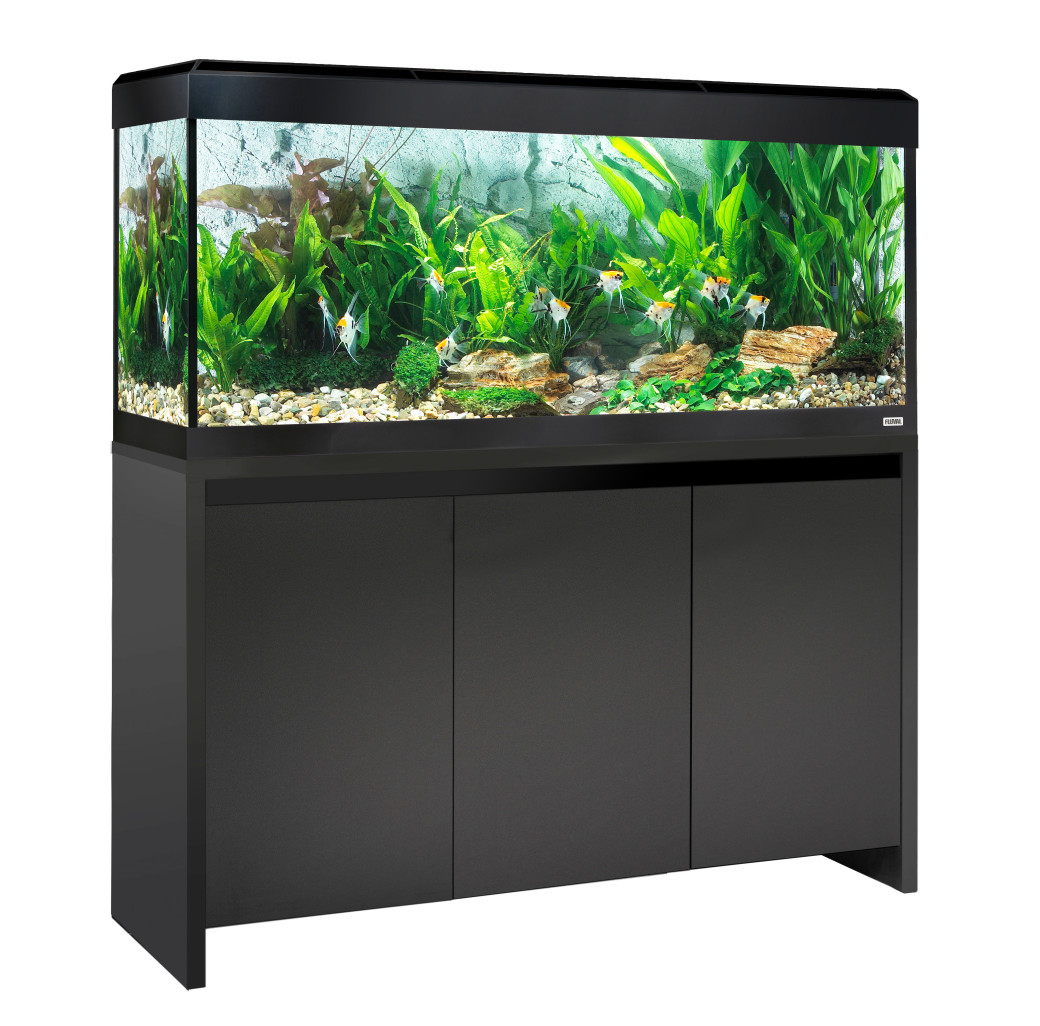 Buy Fluval Roma 240 Bluetooth LED Aquarium & Cabinet Set Black | Canada