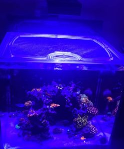 Alternative view of Red Sea Max-E 170 G1 and G2+ Custom Polycarbonate Aquarium Screen Top Lid
