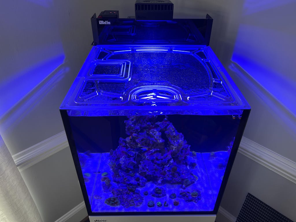 Red Sea Max Nano G2 Cube (13.5" front to back) Polycarbonate Aquarium Screen Top Lid