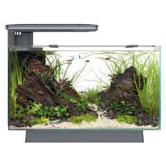 Buy Superfish Quadro 40 Pro LED Aquarium Black | Canada