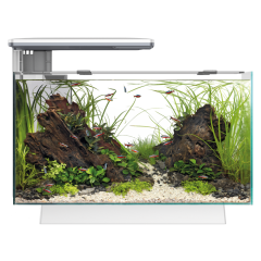 Buy Superfish Quadro 40 Pro LED Aquarium White | Canada