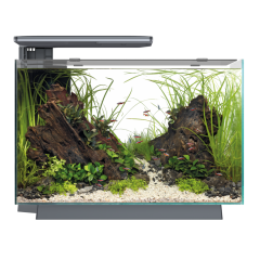 Buy Superfish Quadro 70 Pro LED Aquarium Black | Canada
