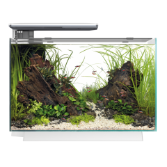 Buy Superfish Quadro 70 Pro LED Aquarium White | Canada