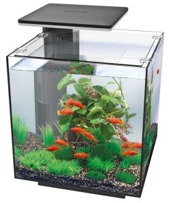 Buy Superfish Qubiq Pro 30 LED Aquarium Black | Canada