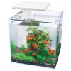 Buy Superfish Qubiq Pro 30 LED Aquarium White | Canada