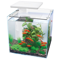 Buy Superfish Qubiq Pro 30 LED Aquarium White | Canada