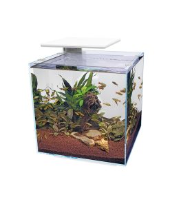 Buy Superfish Qubiq Pro 60 LED Aquarium White | Canada