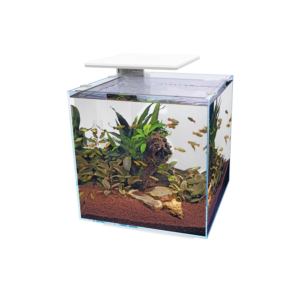Buy Superfish Qubiq Pro 60 LED Aquarium White | Canada