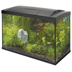 Buy Superfish Start 100 Tropical Aquarium Black | Canada