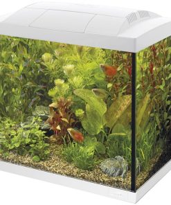 Buy Superfish Start 50 Tropical Aquarium White | Canada