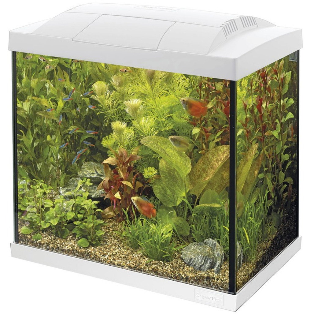 Buy Superfish Start 50 Tropical Aquarium White | Canada
