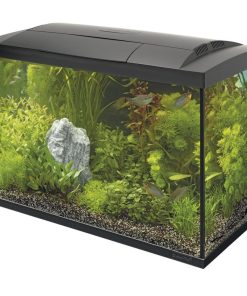 Buy Superfish Start 70 Tropical Aquarium Black | Canada