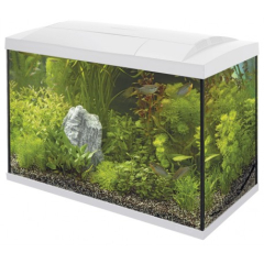 Buy Superfish Start 70 Tropical Aquarium White | Canada