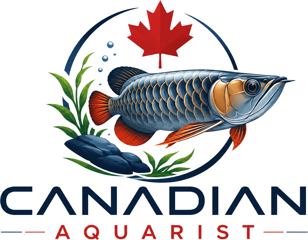 Aquarium in Canada