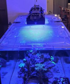 Alternative view of Red Sea Reefer Peninsula 500 G1 Rimless Polycarbonate Screen Top Lid | Canada