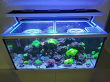 Alternative view of Red Sea Max-S 400 G1 and G2+ Custom Polycarbonate Aquarium Screen Top Lid