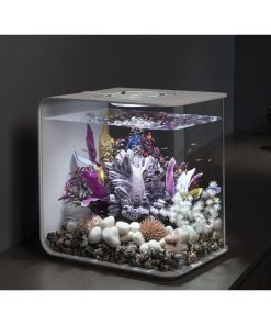 Alternative view of BiOrb Bonsai Ball - White