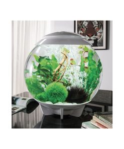 Alternative view of BiOrb Silk Plant Set - Green (medium)