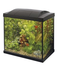Buy Superfish Start 50 Tropical Aquarium Black | Canada